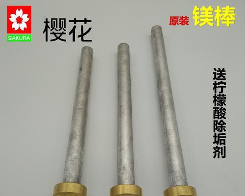 电热水器中镁棒的作用与维护方法（探秘镁棒在电热水器中的重要角色及有效保养法）